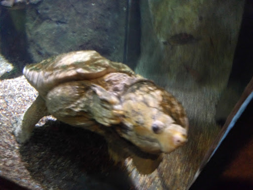 Museum «Tropical Discovery», reviews and photos, 2900 E 23rd Ave, Denver, CO 80205, USA