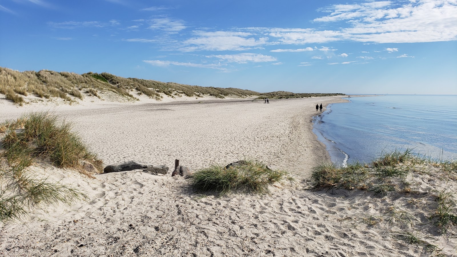 Skagen Nord Beach的照片 带有明亮的沙子表面