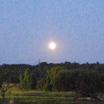 Photo n°2 de l'avis de Nicht.m fait le 30/06/2018 à 20:34 sur le  Green Eagle Golf Courses à Winsen