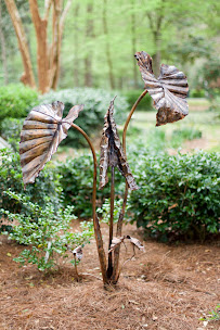 Fisher Landscape Design & Consultation - Photo 9 - Car repair in , Tallahassee