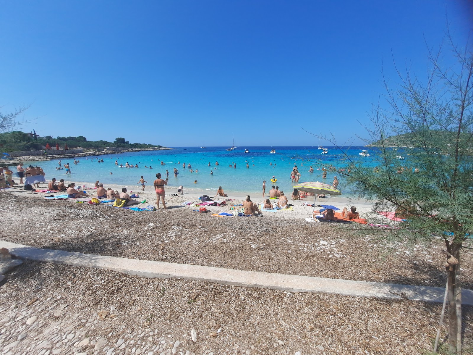 Plaza Vela Rina'in fotoğrafı imkanlar alanı