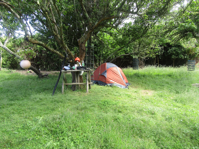 Comentarios y opiniones de Camping Quechol Isla Mocha