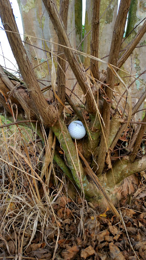 Golf Club «Eagle Creek Golf Community», reviews and photos, 10350 Emerson Lake Blvd, Orlando, FL 32832, USA