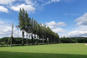 San Sai New Golf image