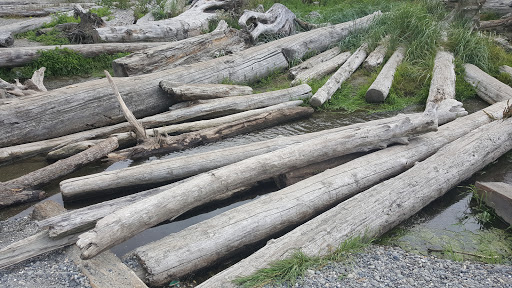 Park «Seahurst Park», reviews and photos, 1600 SW Seahurst Park Rd, Burien, WA 98166, USA