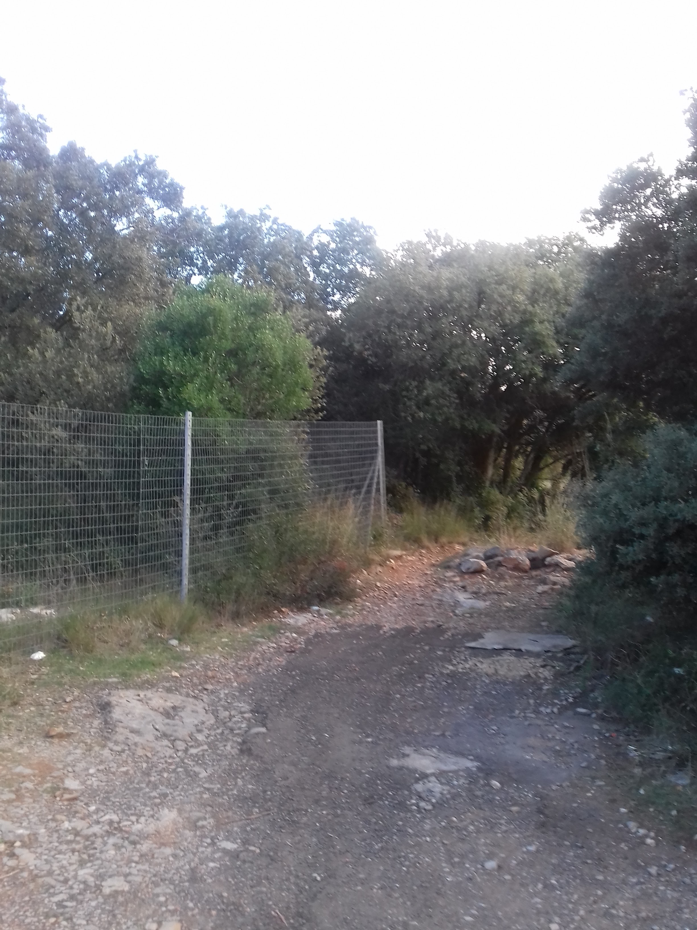Photo n° 2 de l'avis de saintboianais. fait le 01/12/2017 à 18:40