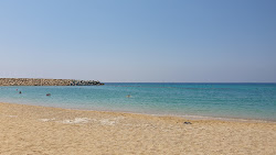 Foto von Ayia Napa Turtle Beach teilweise hotelbereich