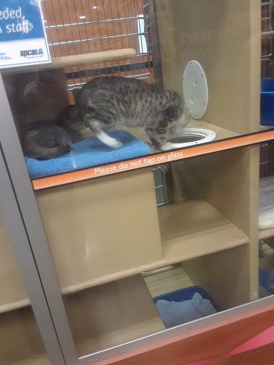 Pet Supply Store «PetSmart», reviews and photos, 8852 Washington Blvd, Pico Rivera, CA 90660, USA