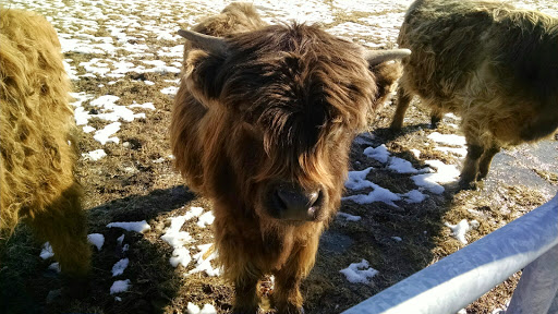 Gourmet Grocery Store «Highland Gourmet», reviews and photos, 343 County Road 519, Stockton, NJ 08559, USA