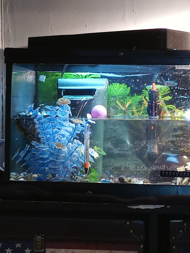 Pet Supply Store «PetSmart», reviews and photos, 8014 Old Carriage Ct, Shakopee, MN 55379, USA