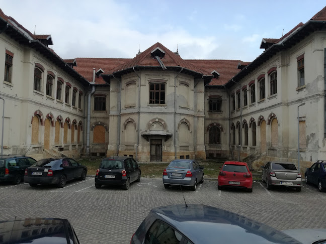 Strada Istrate Rizeanu, Câmpulung 115100, România