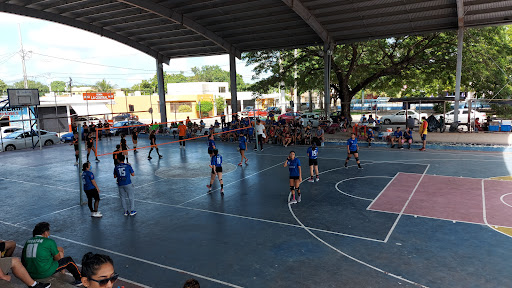 Club de voleibol Tigres