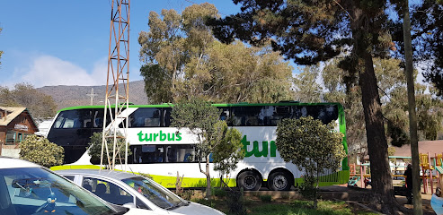 Turbus