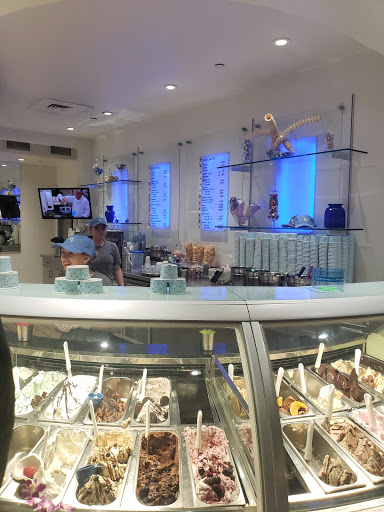 Ice Cream Shop «FROST a Gelato Shoppe Gilbert», reviews and photos, 2150 E Williams Field Rd #120, Gilbert, AZ 85295, USA