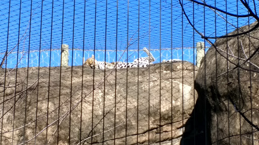 Zoo «Memphis Zoo», reviews and photos, 2000 Prentiss Pl, Memphis, TN 38112, USA