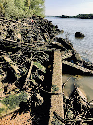 Photo n°9 de Bac de Sahurs à Sahurs ()