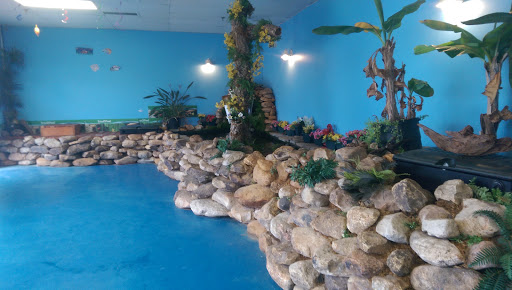 Tropical Fish Store «The Hidden Reef, Inc», reviews and photos, 4501 New Falls Rd, Levittown, PA 19056, USA