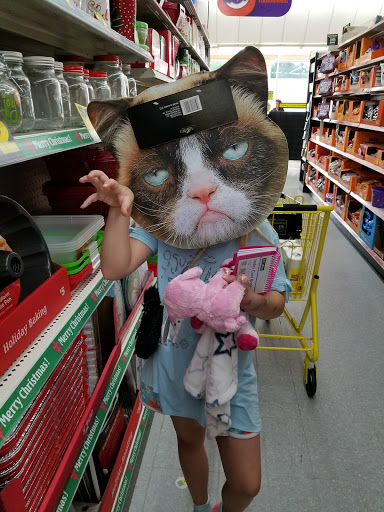 Grocery Store «Hannaford Supermarket», reviews and photos, 500 Stillwater Ave, Old Town, ME 04468, USA