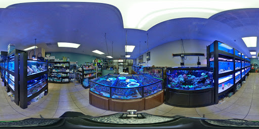 Pet Supply Store «Sea Level Aquarium», reviews and photos, 28 US-46, Pine Brook, NJ 07058, USA