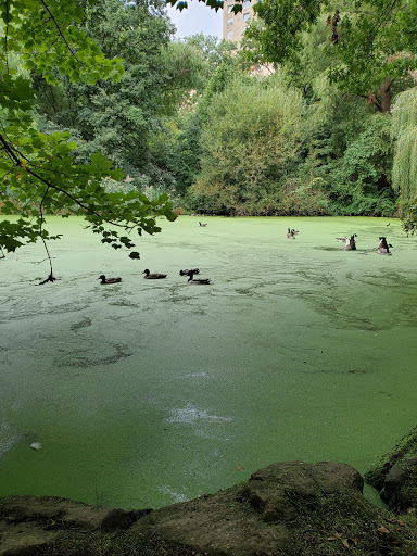 Park «The Loch», reviews and photos, Central Park West, New York, NY 10026, USA