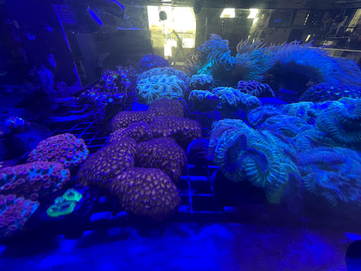 Pet Store «Animal Attraction», reviews and photos, 2518 11th Ave, Greeley, CO 80631, USA