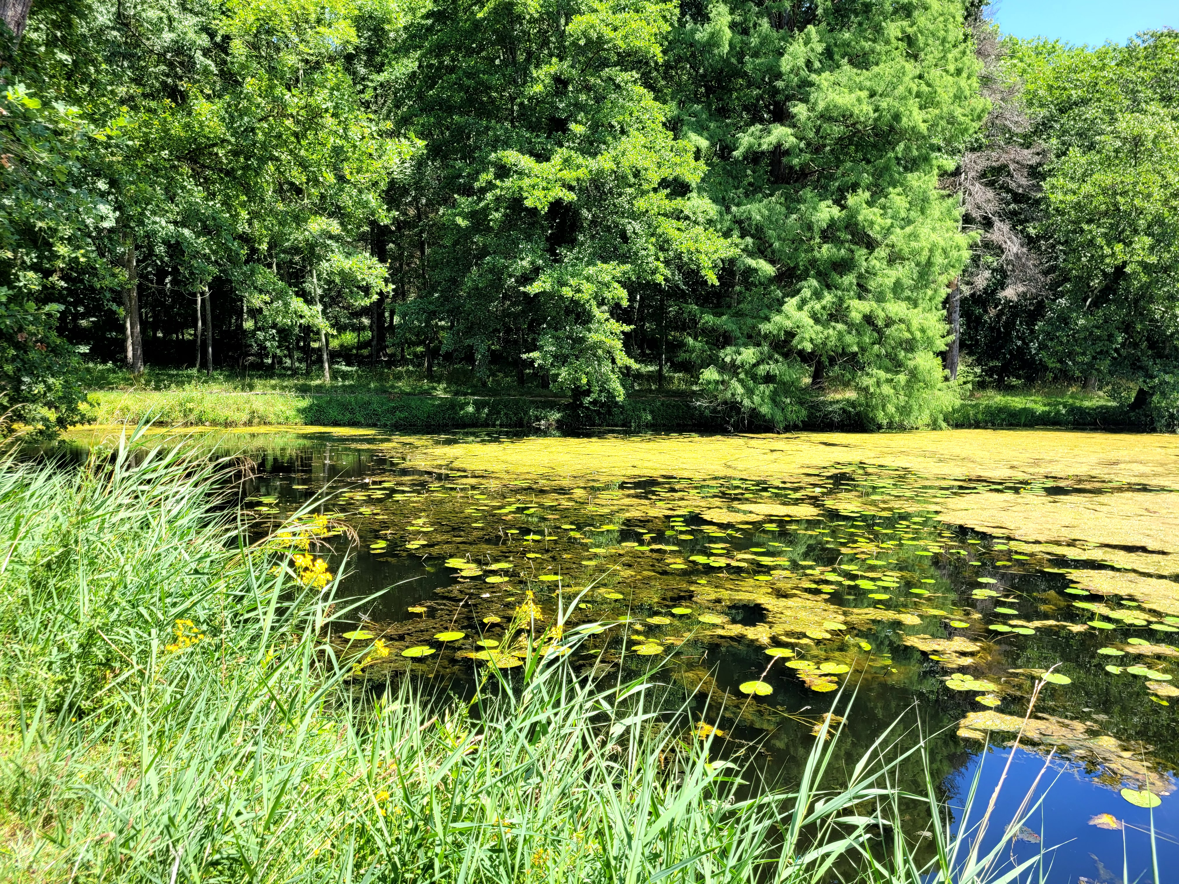 Photo n° 7 de l'avis de Michèle.i fait le 11/12/2022 à 12:04