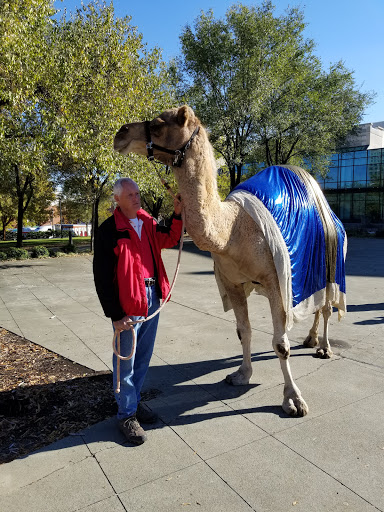 Performing Arts Theater «Duke Energy Center for the Performing Arts», reviews and photos, 2 E South St, Raleigh, NC 27601, USA
