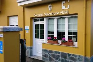 Consulta Veterinaria Vidal image