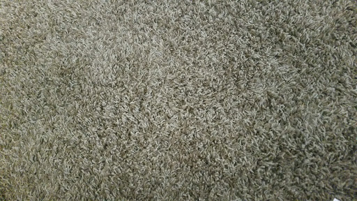 11993 Magnolia Ave, Riverside, CA 92503, USA