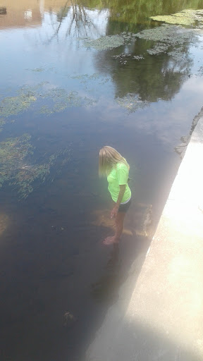 Museum «Curwood Castle Museum», reviews and photos, 224 Curwood Castle Dr, Owosso, MI 48867, USA