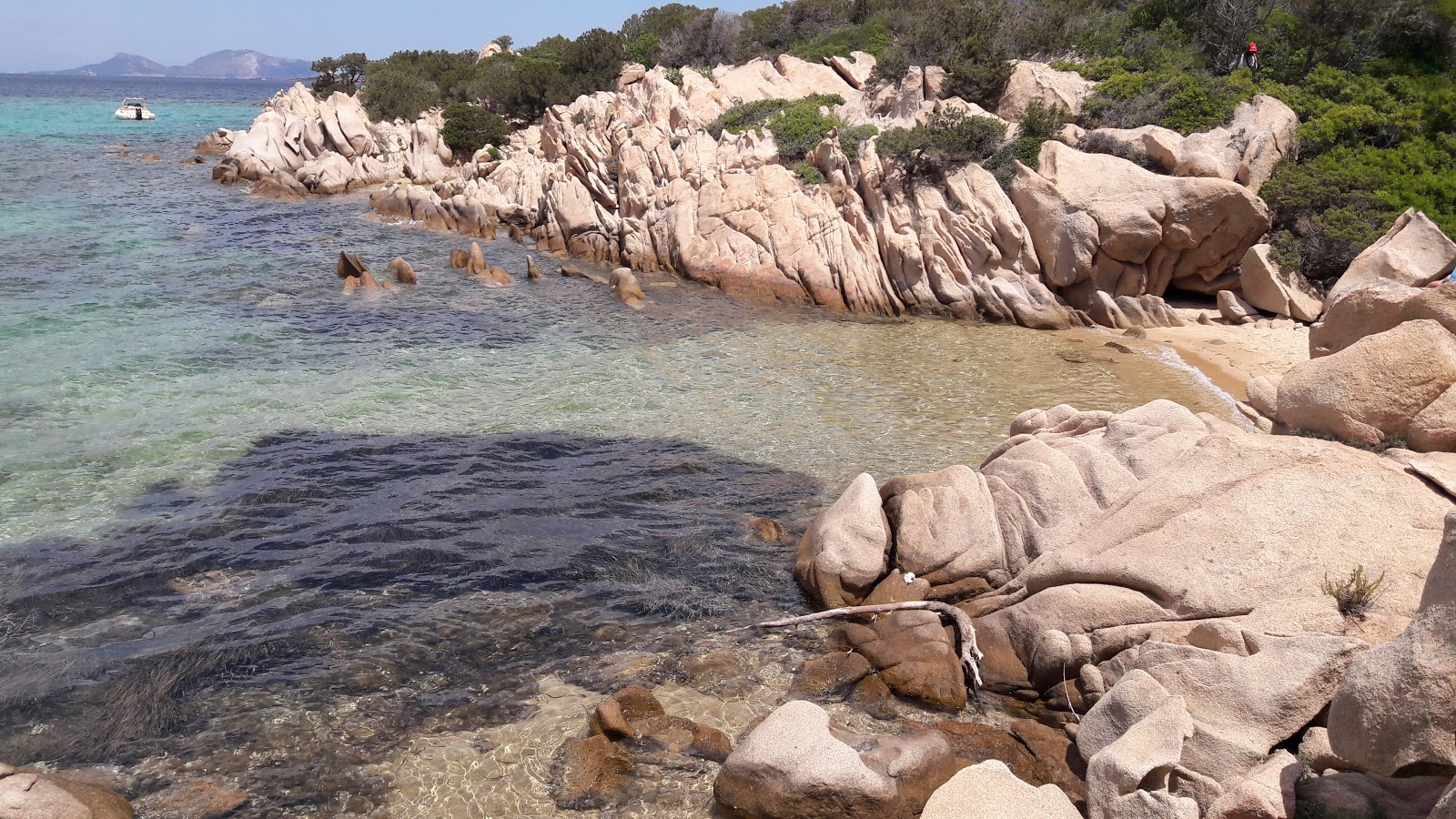 Foto di Spiaggia delle Formiche con una superficie del sabbia scura