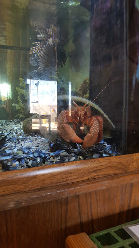 Aquarium «The Aquarium at Rockport Harbor, Inc.», reviews and photos, 706 Navigation Cir, Rockport, TX 78382, USA