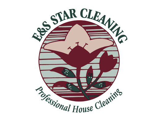 E & S STAR CLEANING INC. in Sandy, Utah