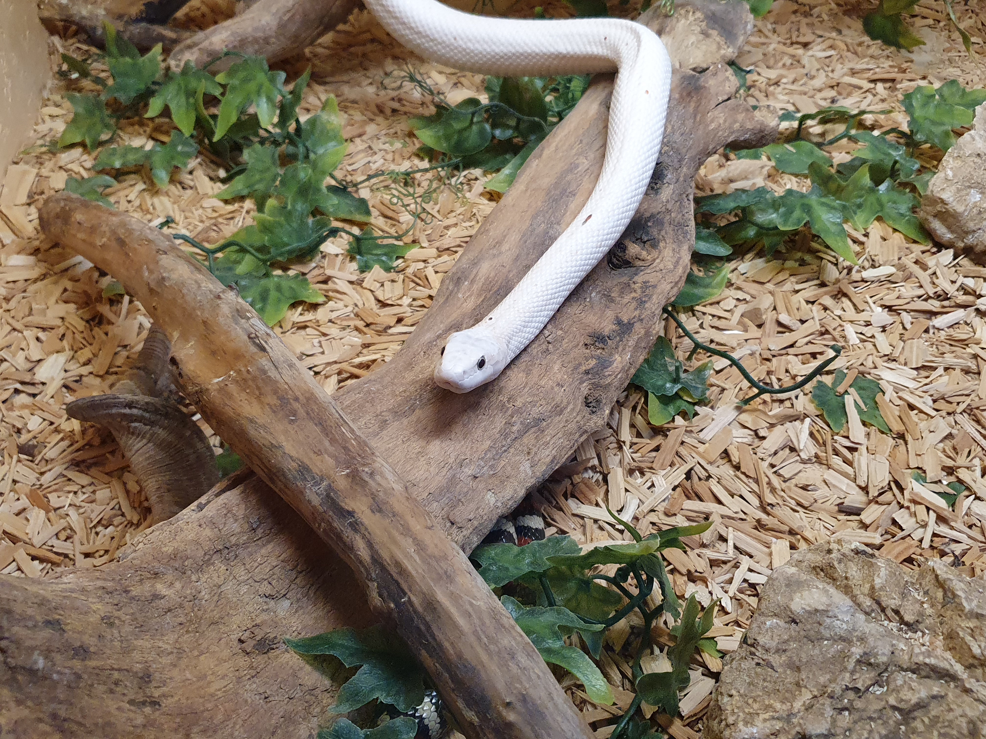 Photo n° 3 de l'avis de Laura.A fait le 01/01/2022 à 22:47