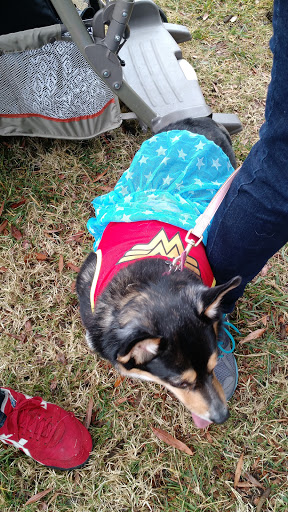 Art Museum «Chrysler Museum of Art», reviews and photos, 1 Memorial Pl, Norfolk, VA 23510, USA