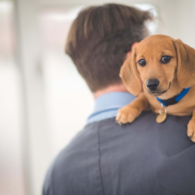 Cherrywood Veterinary Clinic