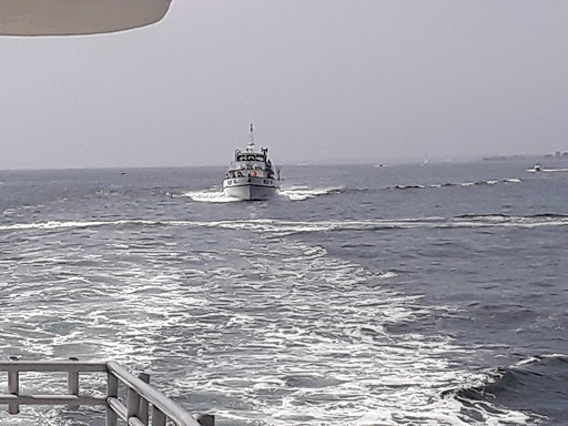 Auto Parts Store «NAPA Auto Parts - Genuine Parts Company», reviews and photos, 1260 Newfield St, Middletown, CT 06457, USA