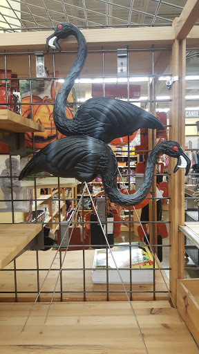 Furniture Store «Cost Plus World Market», reviews and photos, 6000 Northwest Hwy, Crystal Lake, IL 60014, USA