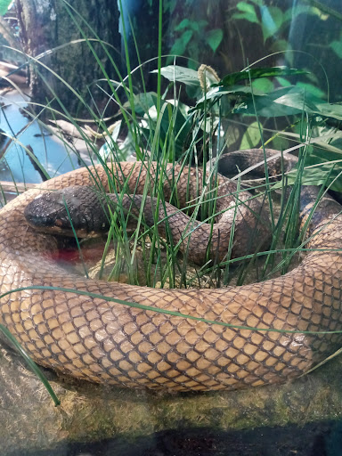 Science Museum «Kentucky Science Center», reviews and photos, 727 W Main St, Louisville, KY 40202, USA