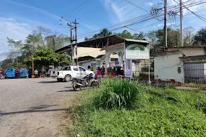 Universidad Nacional Agraria de la Selva image