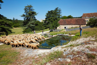 Ecomusée de Cuzals à Sauliac-sur-Célé