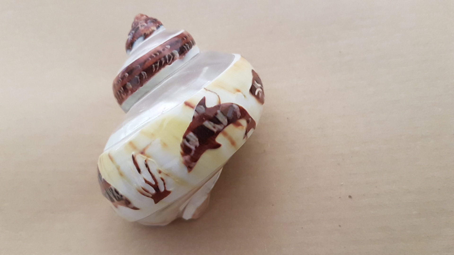 Photo n° 3 de l'avis de Cyril.A fait le 20/09/2019 à 22:26