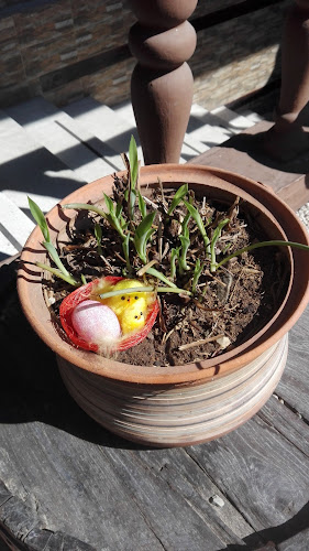 Даймънд - Дискотека