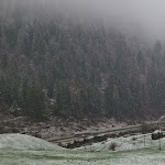 Photo n°6 de l'avis de p. fait le 30/03/2024 à 09:23 sur le  Hotel Chalet Val di Rabbi à Rabbi