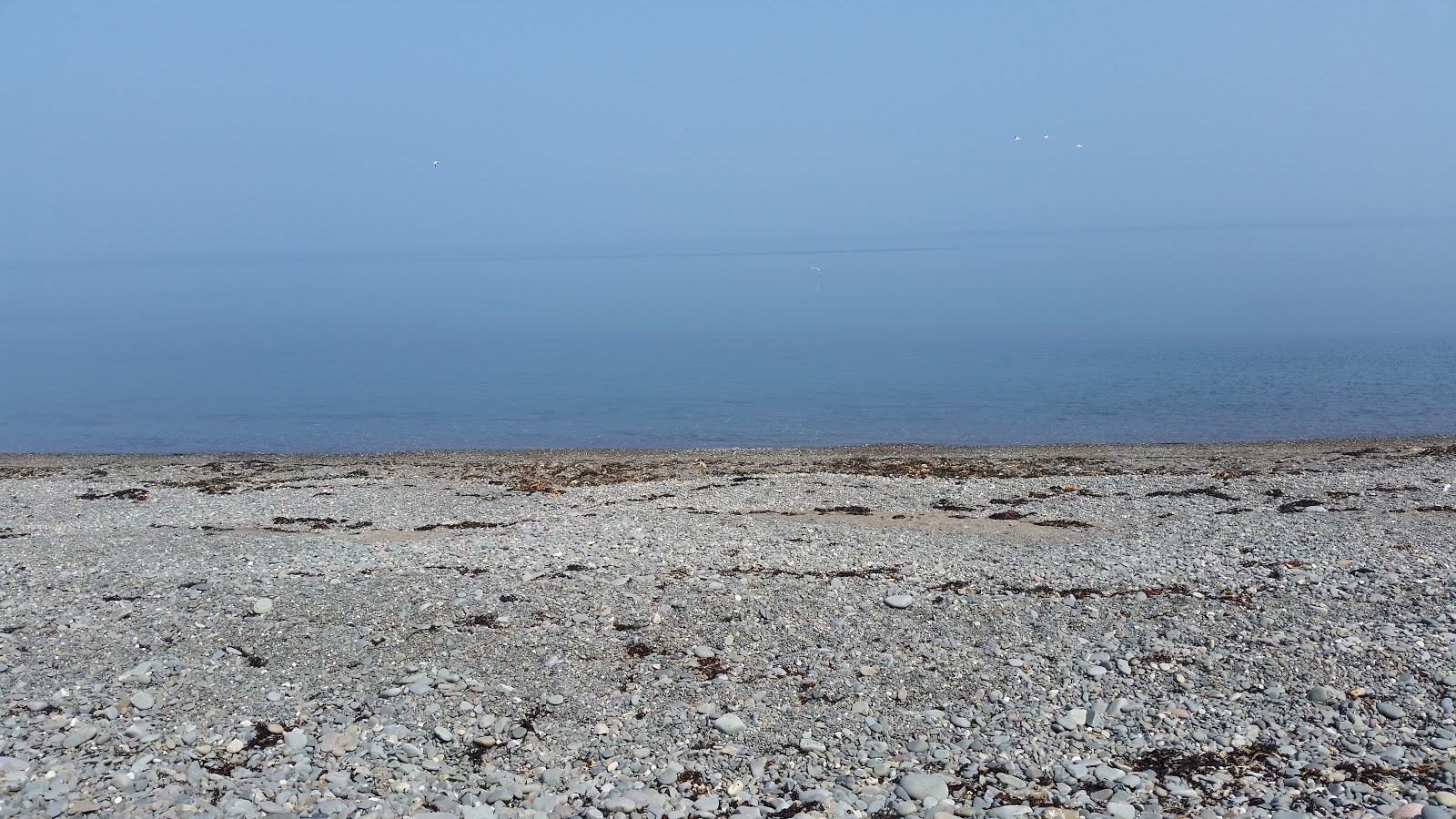 Fotografie cu Terally Bay Beach cu o suprafață de apa pură turcoaz