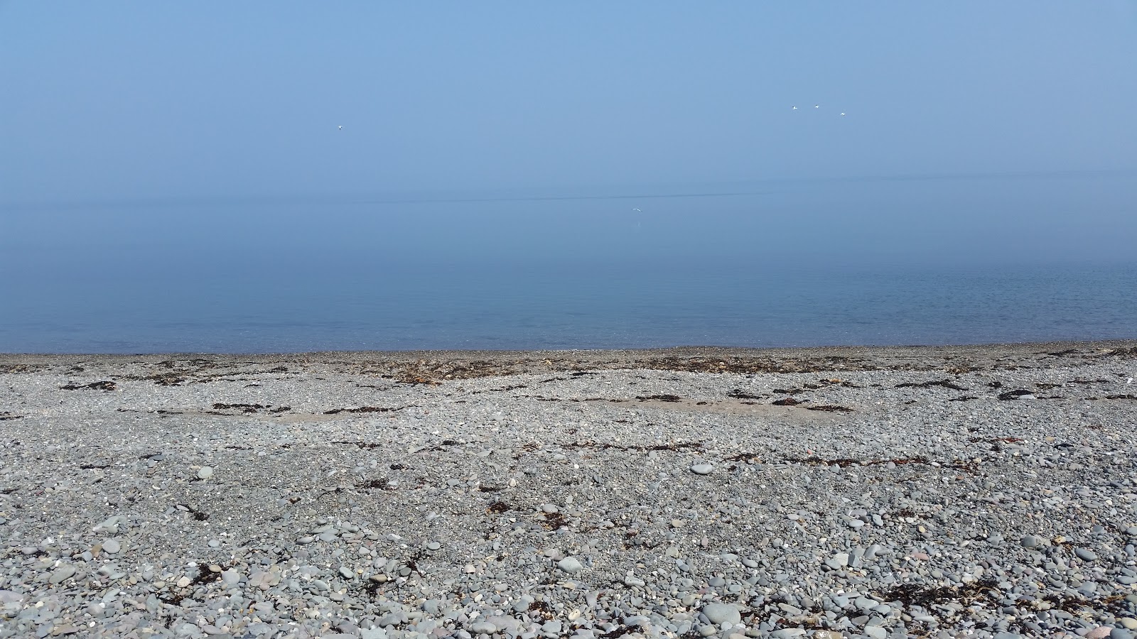 Photo of Terally Bay Beach with turquoise pure water surface