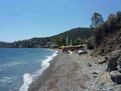Kalo Livadi Beach'in fotoğrafı imkanlar alanı
