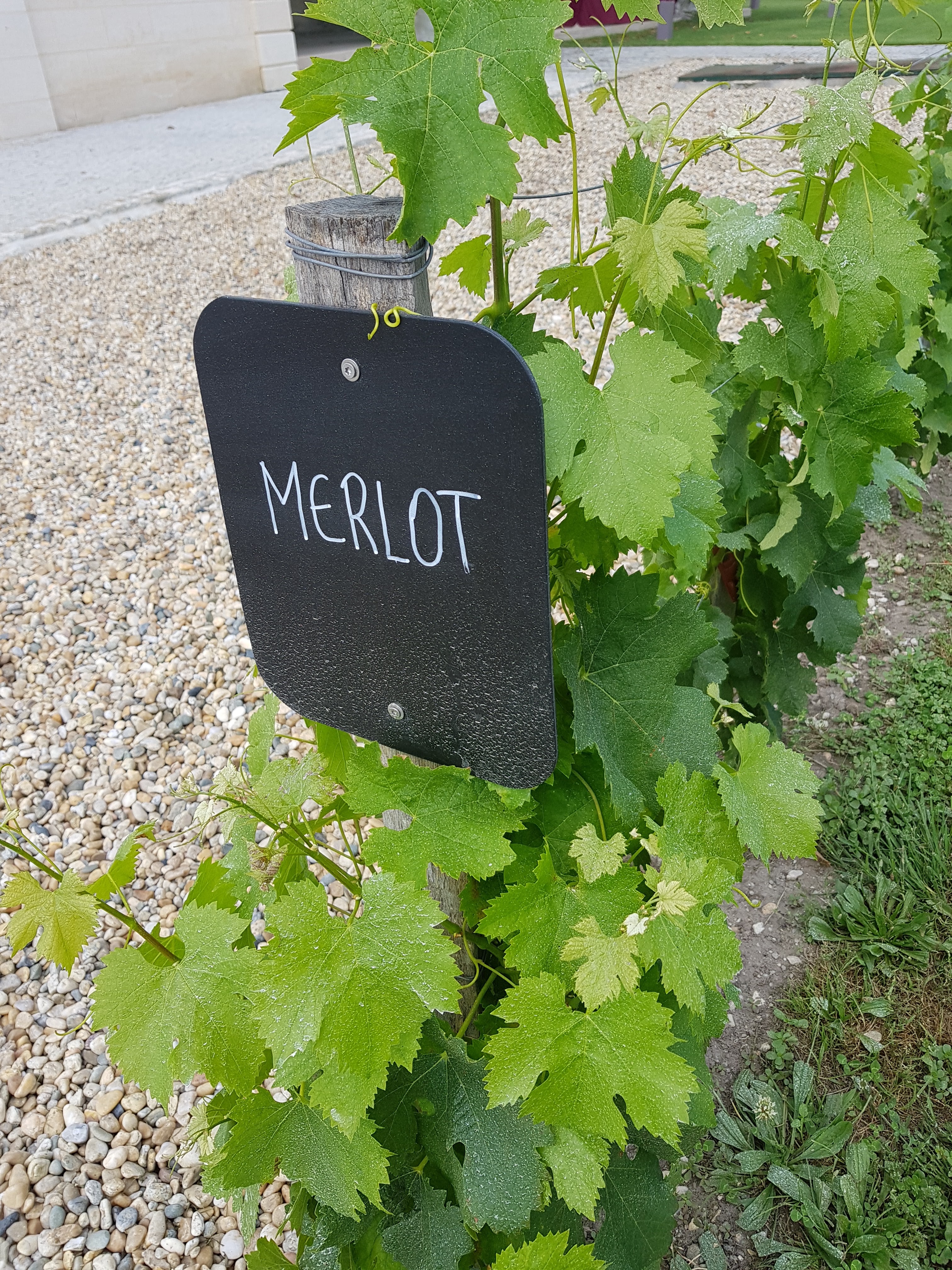 Photo n° 12 de l'avis de Richard.l fait le 22/06/2018 à 04:13