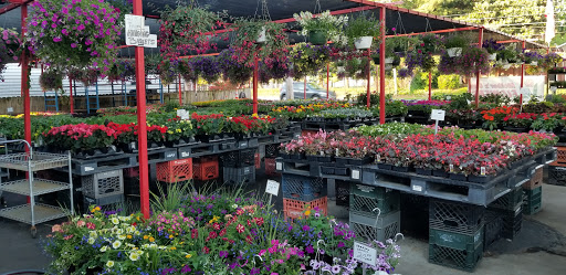 Produce Market «Parkway Produce», reviews and photos, 2601 Preston Hwy, Louisville, KY 40217, USA