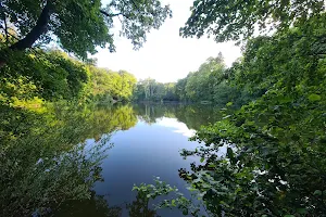 Buchrainweiher image